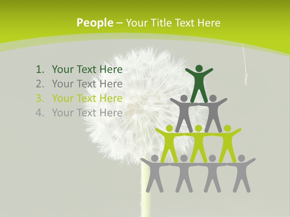 Flug Pusteblume Allergie PowerPoint Template