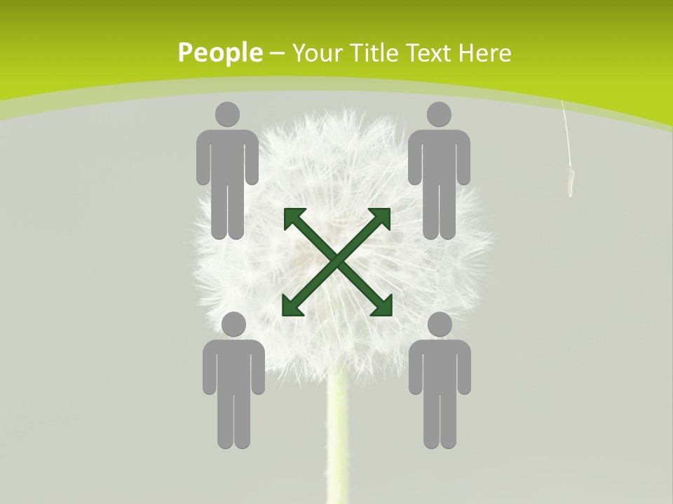 Flug Pusteblume Allergie PowerPoint Template