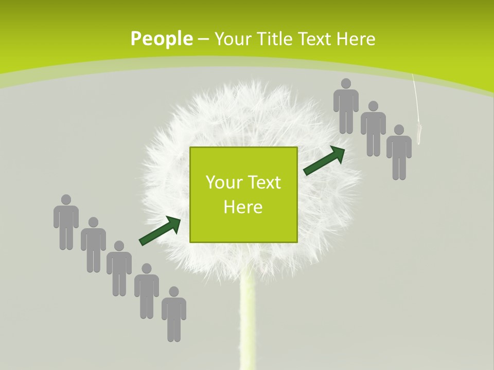 Flug Pusteblume Allergie PowerPoint Template