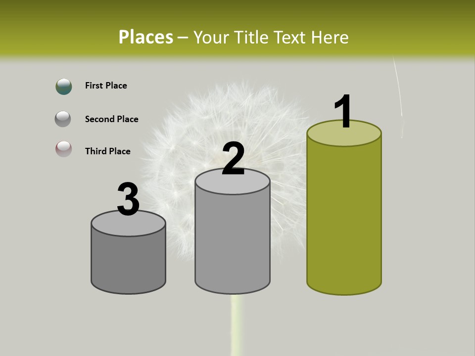 Pusteblume Wachsen Samen PowerPoint Template