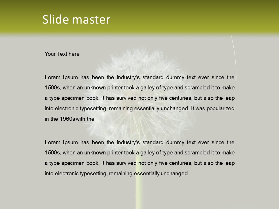 Pusteblume Wachsen Samen PowerPoint Template