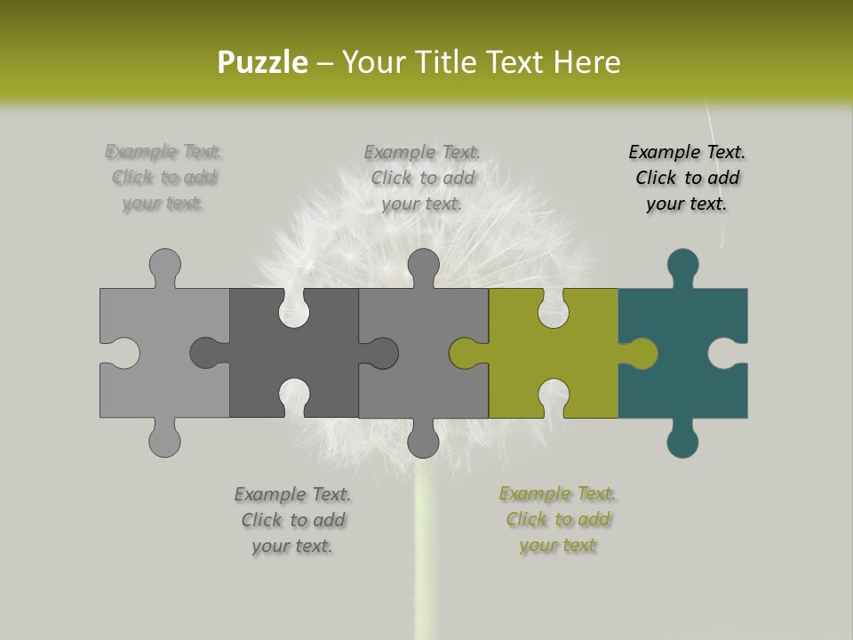 Pusteblume Wachsen Samen PowerPoint Template