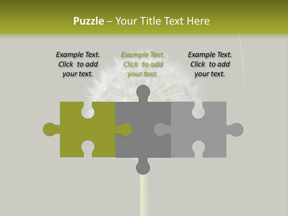 Pusteblume Wachsen Samen PowerPoint Template