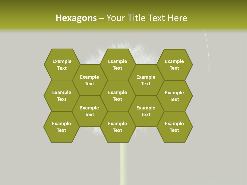 Pusteblume Wachsen Samen PowerPoint Template