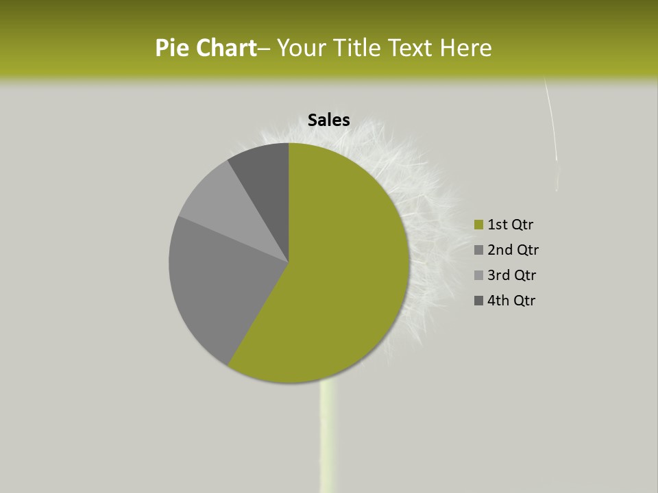 Pusteblume Wachsen Samen PowerPoint Template