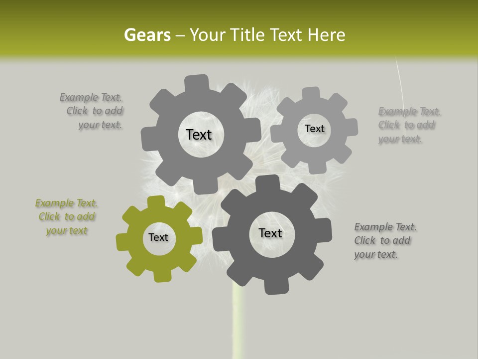 Pusteblume Wachsen Samen PowerPoint Template