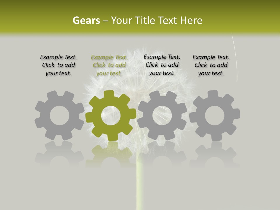 Pusteblume Wachsen Samen PowerPoint Template