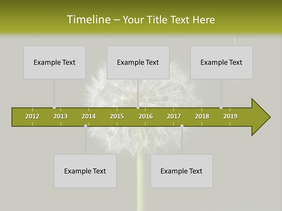 Pusteblume Wachsen Samen PowerPoint Template