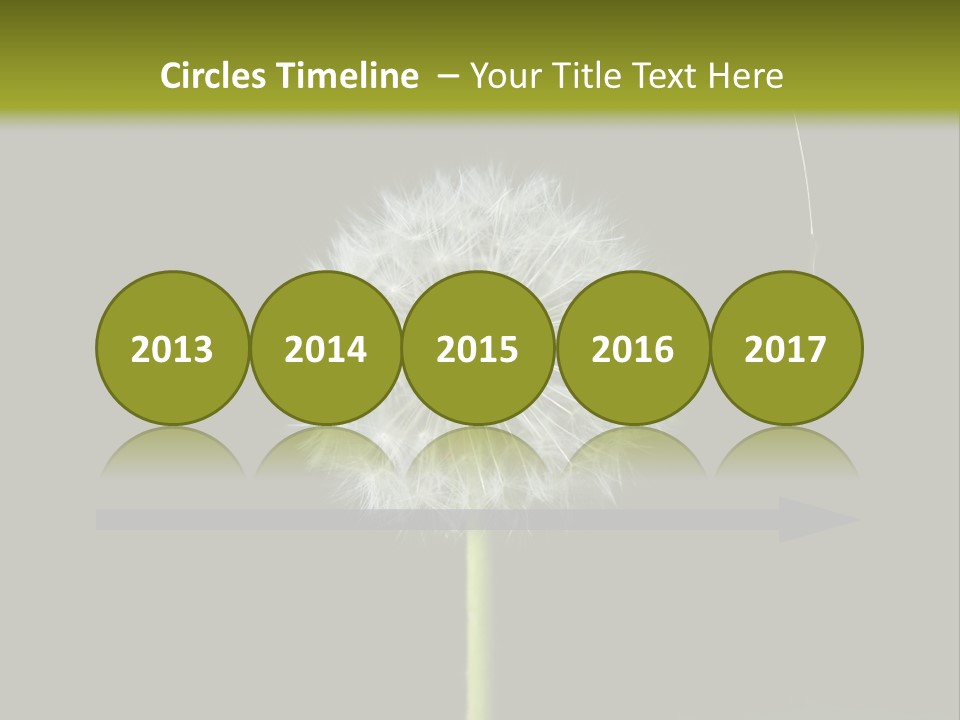 Pusteblume Wachsen Samen PowerPoint Template