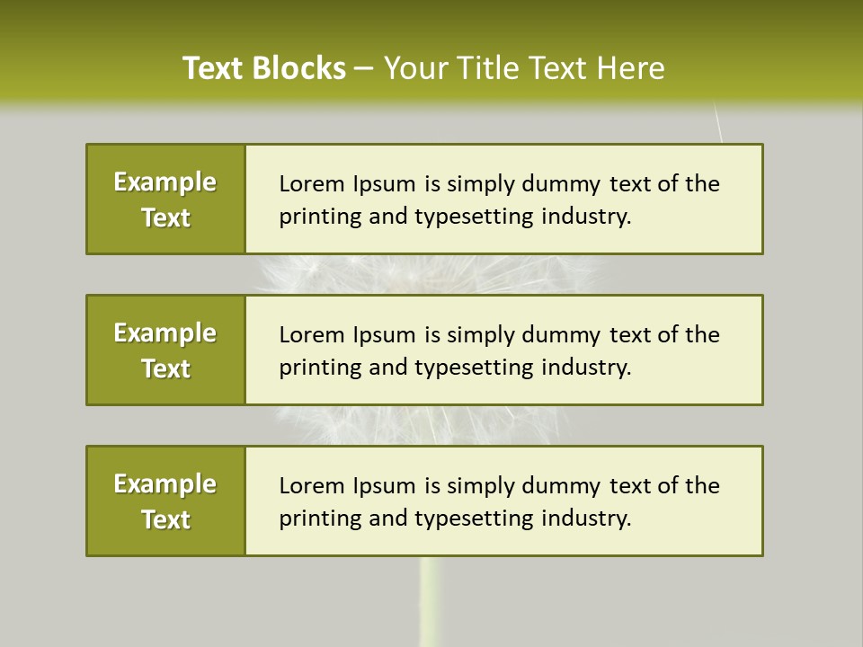 Pusteblume Wachsen Samen PowerPoint Template