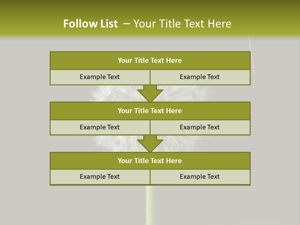 Pusteblume Wachsen Samen PowerPoint Template
