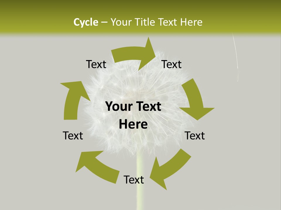 Pusteblume Wachsen Samen PowerPoint Template