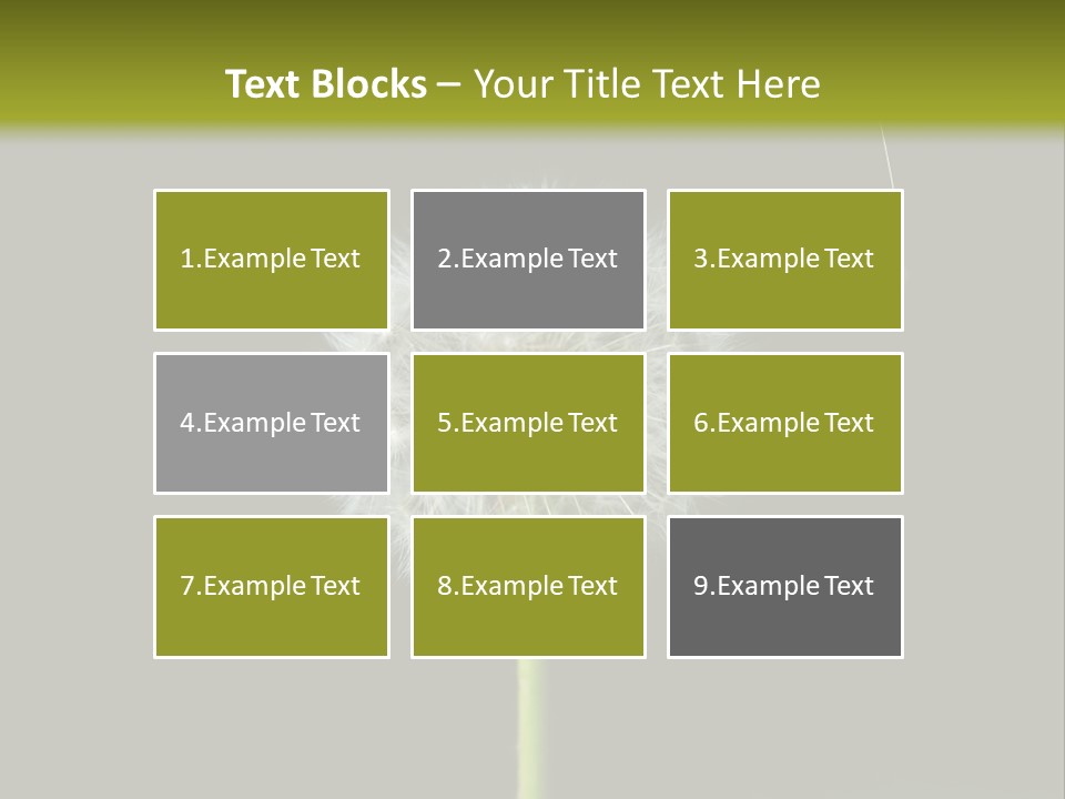 Pusteblume Wachsen Samen PowerPoint Template