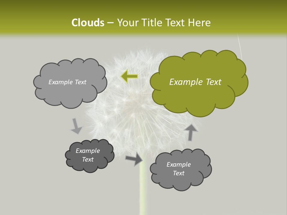 Pusteblume Wachsen Samen PowerPoint Template