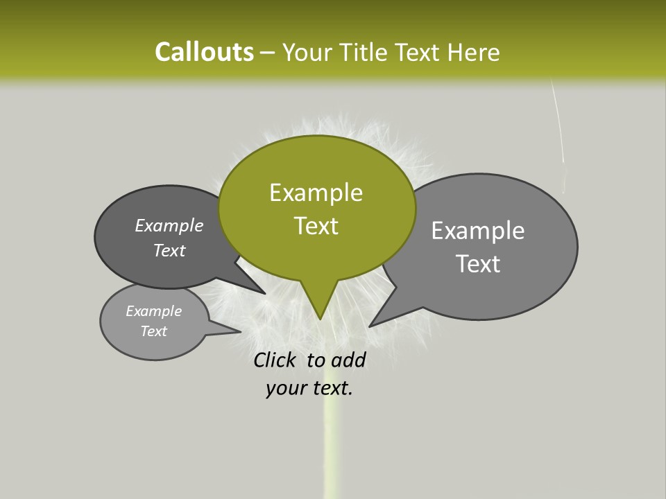 Pusteblume Wachsen Samen PowerPoint Template