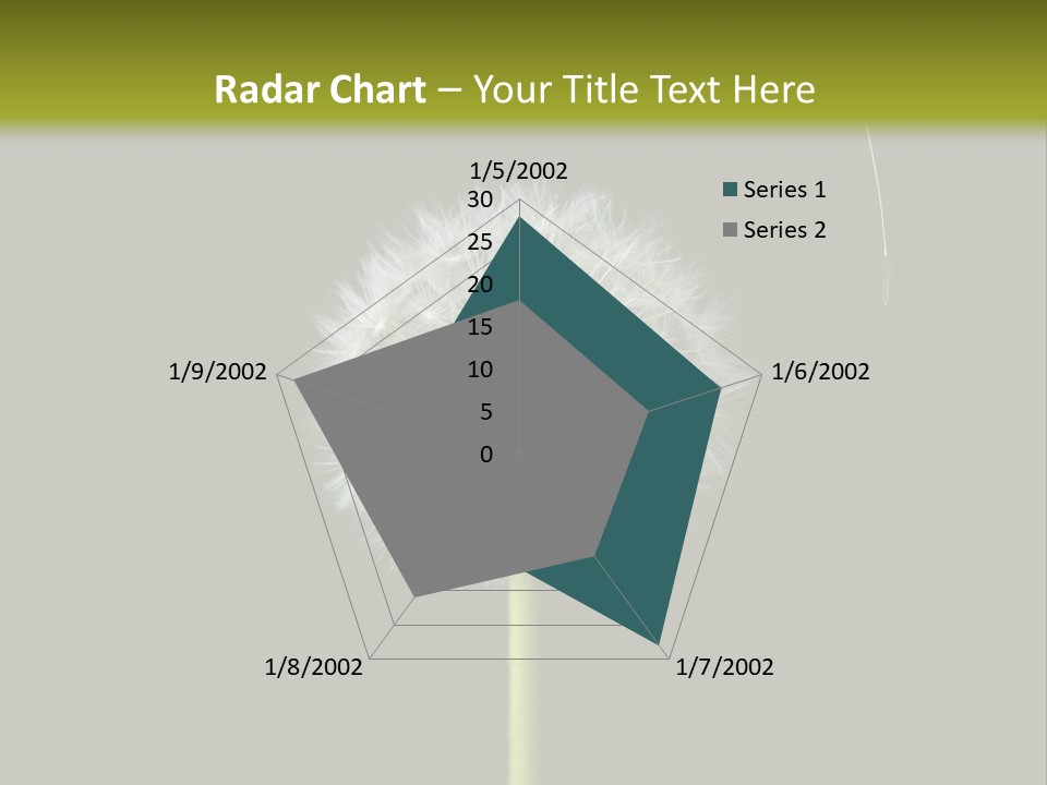 Pusteblume Wachsen Samen PowerPoint Template