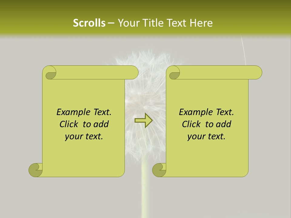 Pusteblume Wachsen Samen PowerPoint Template