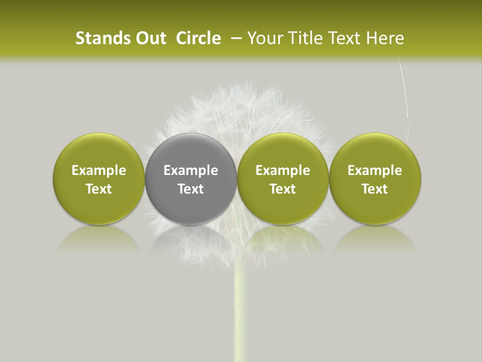 Pusteblume Wachsen Samen PowerPoint Template