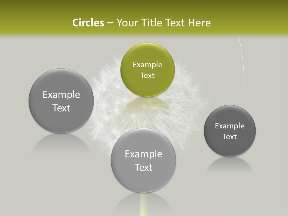 Pusteblume Wachsen Samen PowerPoint Template