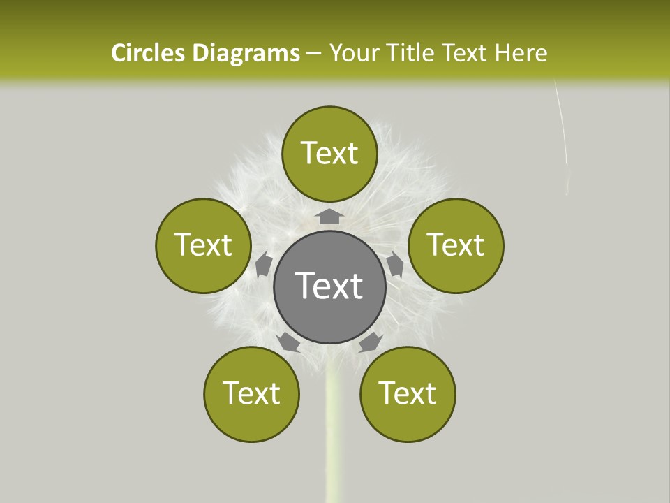 Pusteblume Wachsen Samen PowerPoint Template