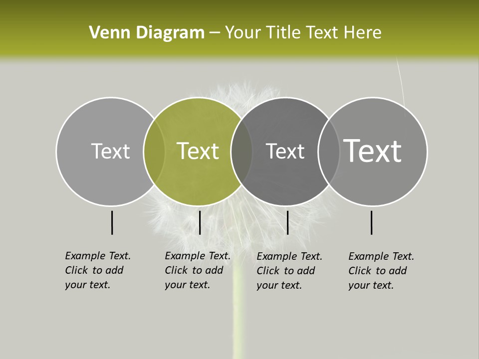 Pusteblume Wachsen Samen PowerPoint Template