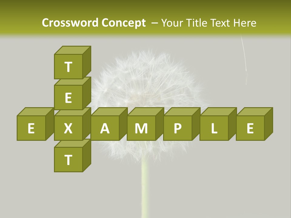 Pusteblume Wachsen Samen PowerPoint Template