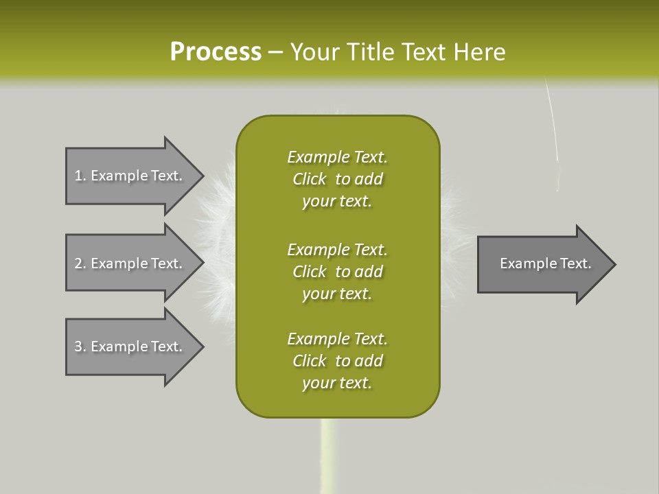 Pusteblume Wachsen Samen PowerPoint Template