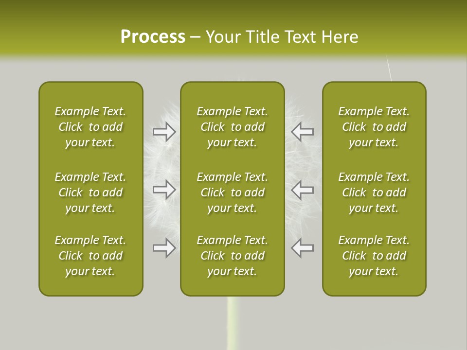 Pusteblume Wachsen Samen PowerPoint Template