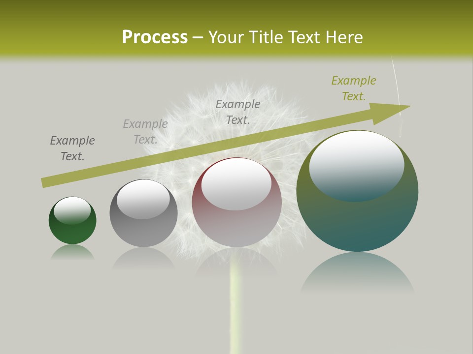 Pusteblume Wachsen Samen PowerPoint Template