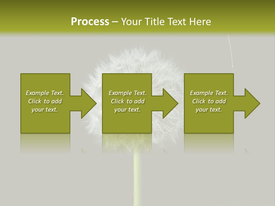 Pusteblume Wachsen Samen PowerPoint Template