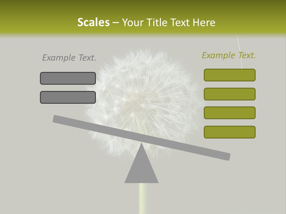 Pusteblume Wachsen Samen PowerPoint Template