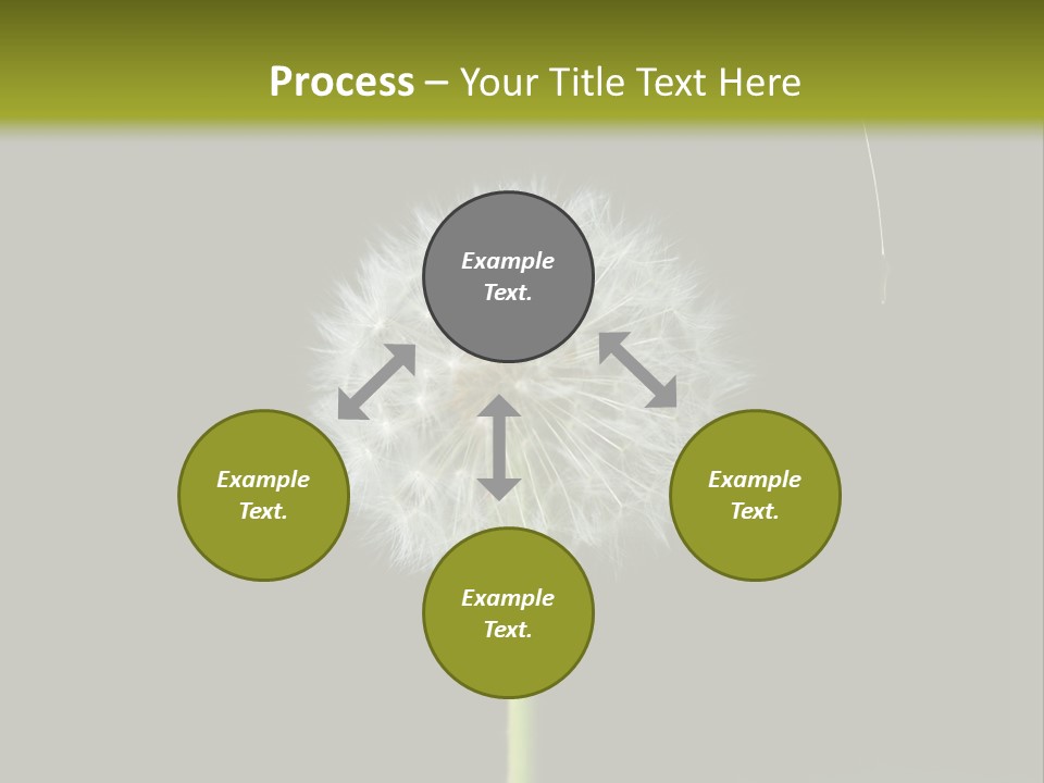 Pusteblume Wachsen Samen PowerPoint Template