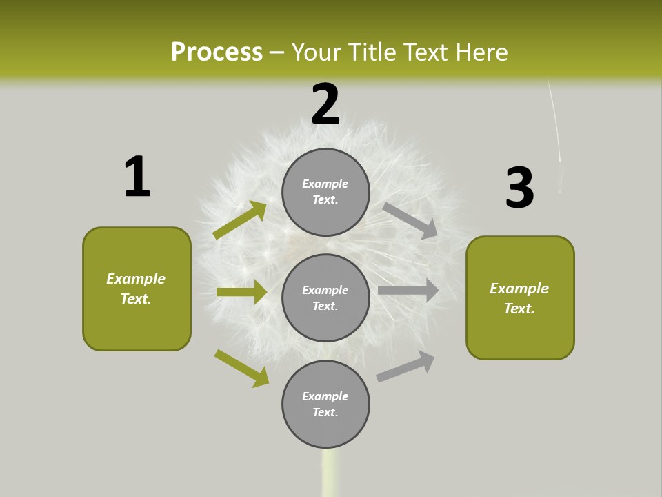 Pusteblume Wachsen Samen PowerPoint Template