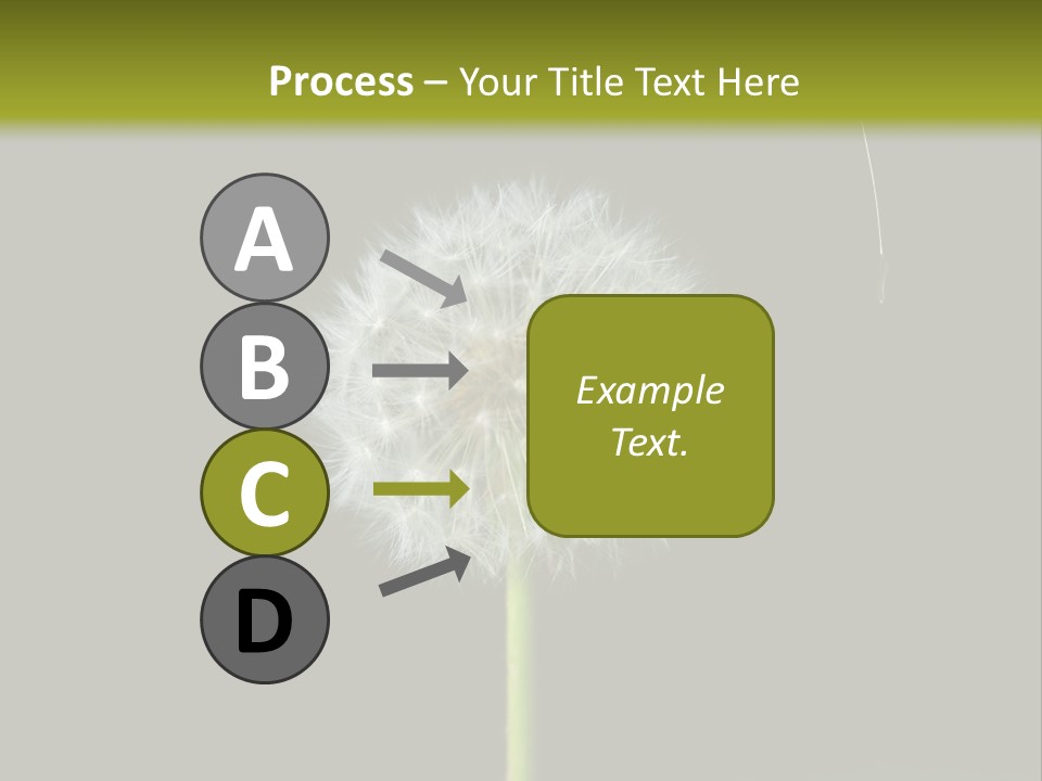 Pusteblume Wachsen Samen PowerPoint Template