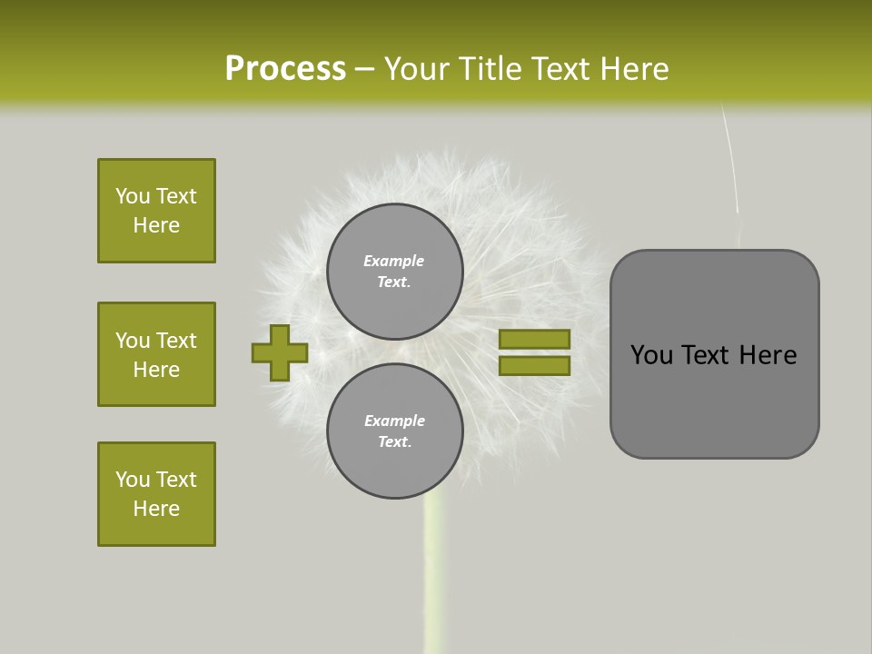 Pusteblume Wachsen Samen PowerPoint Template