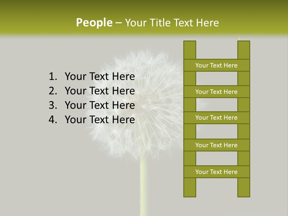 Pusteblume Wachsen Samen PowerPoint Template