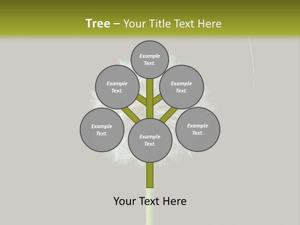 Pusteblume Wachsen Samen PowerPoint Template