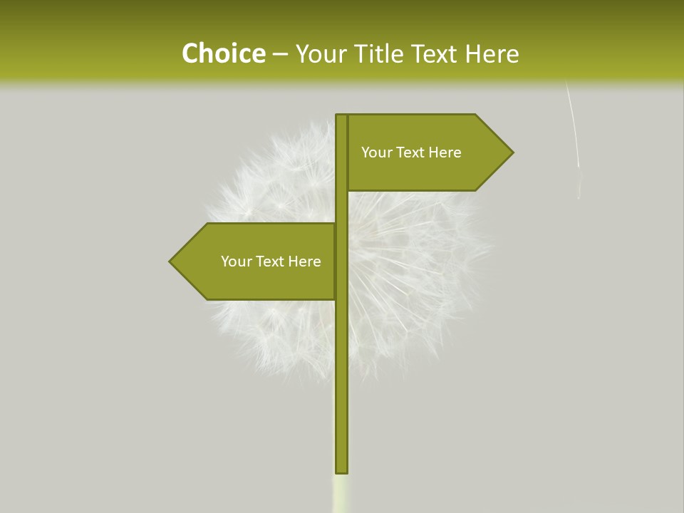 Pusteblume Wachsen Samen PowerPoint Template