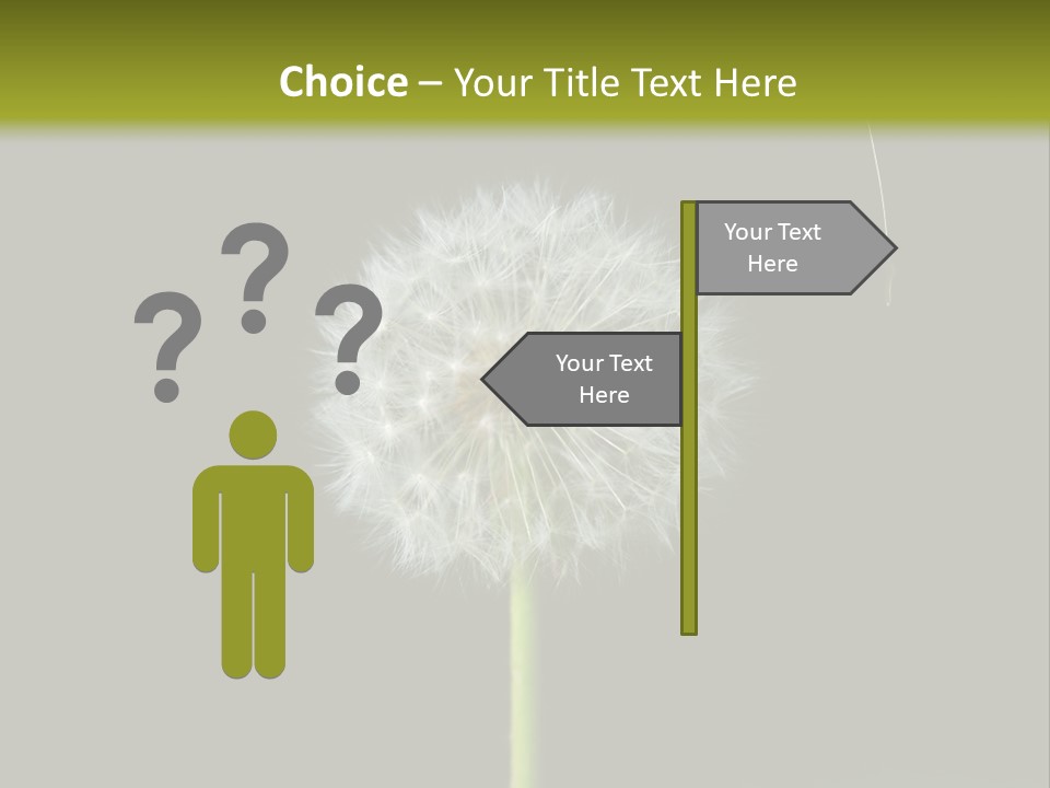 Pusteblume Wachsen Samen PowerPoint Template