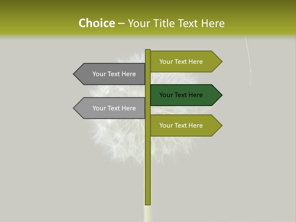 Pusteblume Wachsen Samen PowerPoint Template