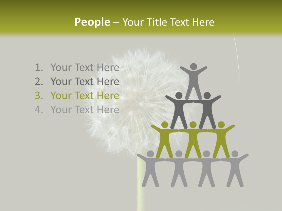 Pusteblume Wachsen Samen PowerPoint Template