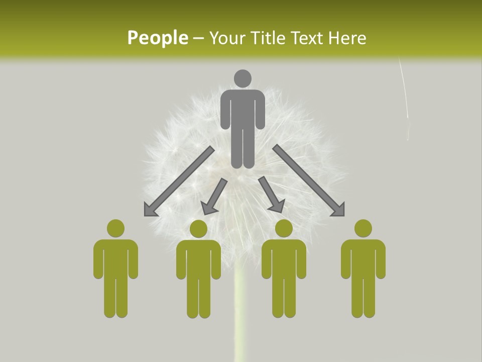 Pusteblume Wachsen Samen PowerPoint Template