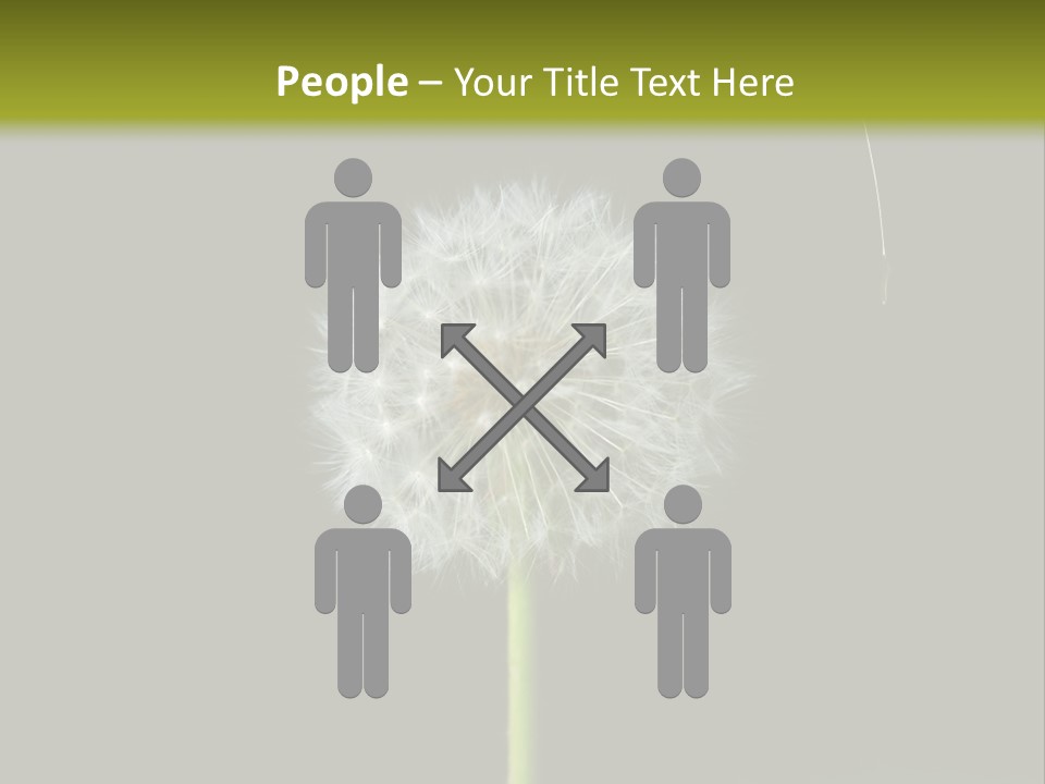 Pusteblume Wachsen Samen PowerPoint Template