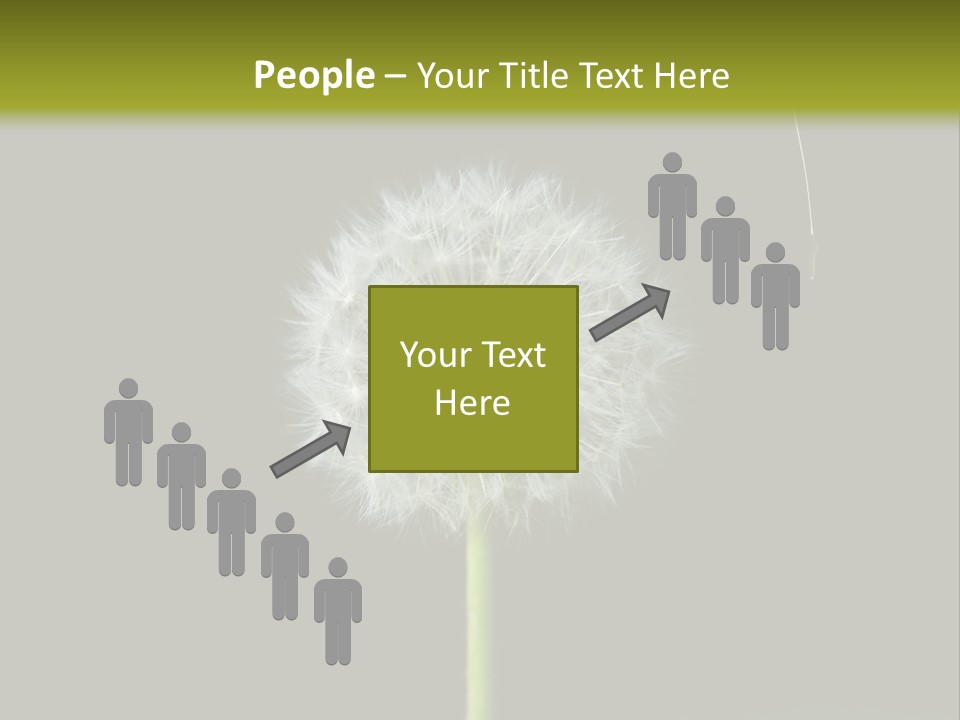 Pusteblume Wachsen Samen PowerPoint Template