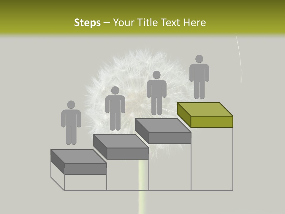 Pusteblume Wachsen Samen PowerPoint Template