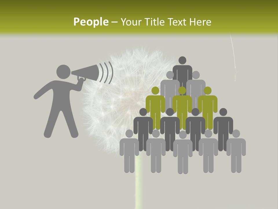 Pusteblume Wachsen Samen PowerPoint Template