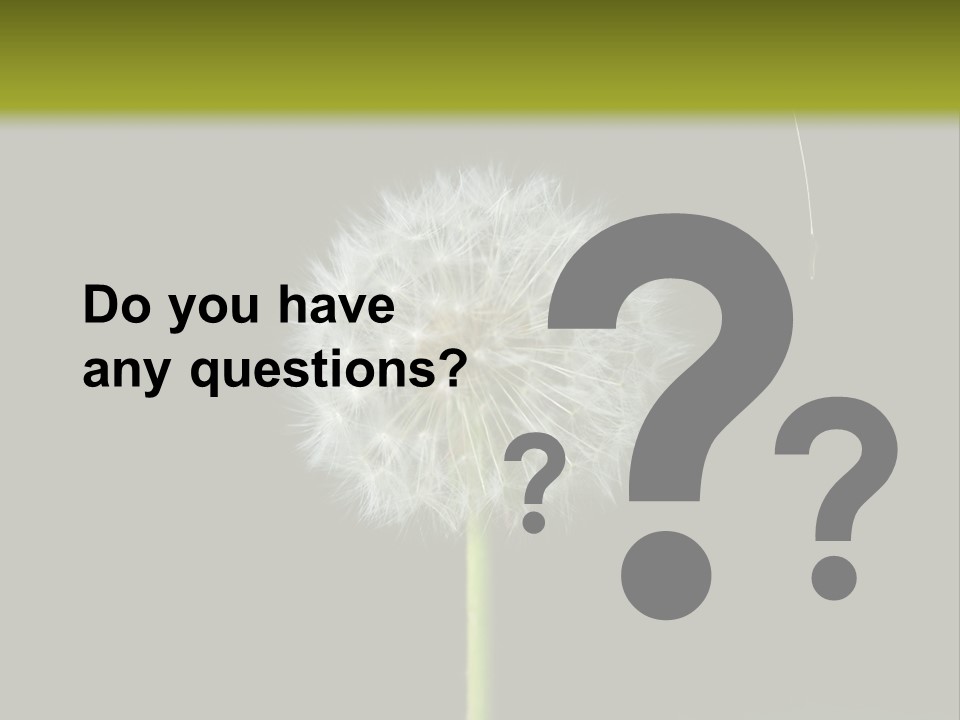 Pusteblume Wachsen Samen PowerPoint Template