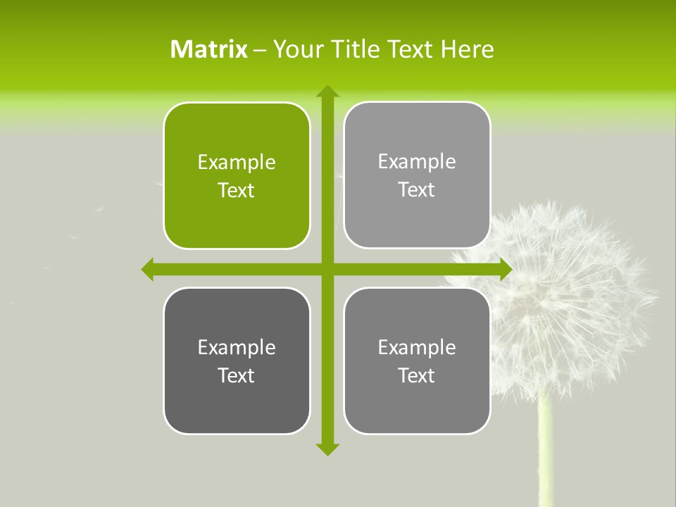 Wehen Pusteblume Blume PowerPoint Template