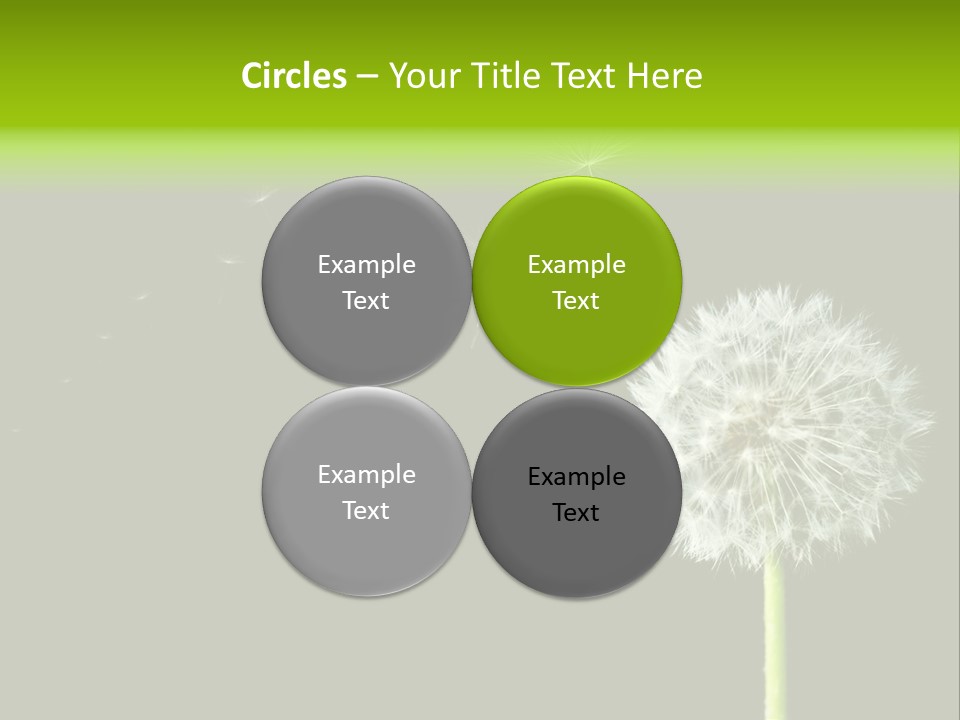 Wehen Pusteblume Blume PowerPoint Template