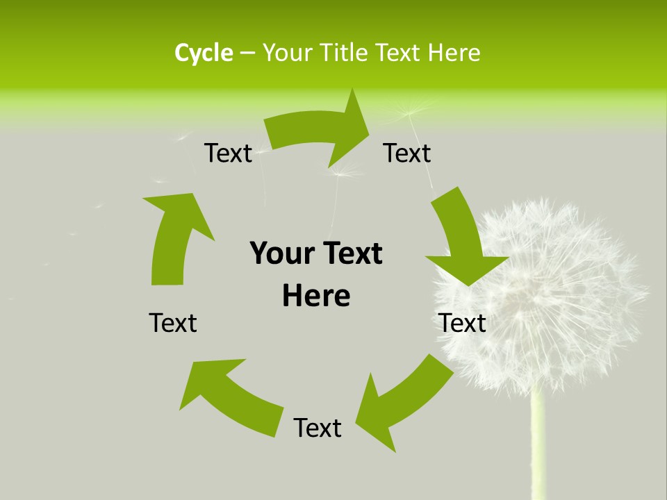 Wehen Pusteblume Blume PowerPoint Template